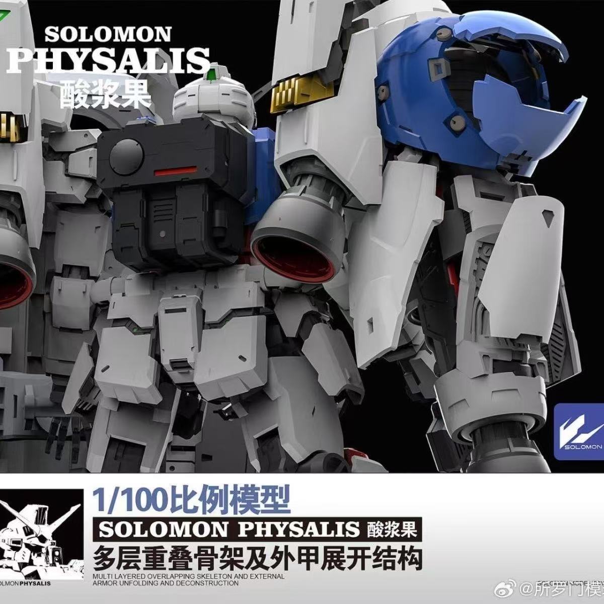 In Stock SOLOMON PHYSALIS GP02 - огляд і ціна Model Kit Lynx